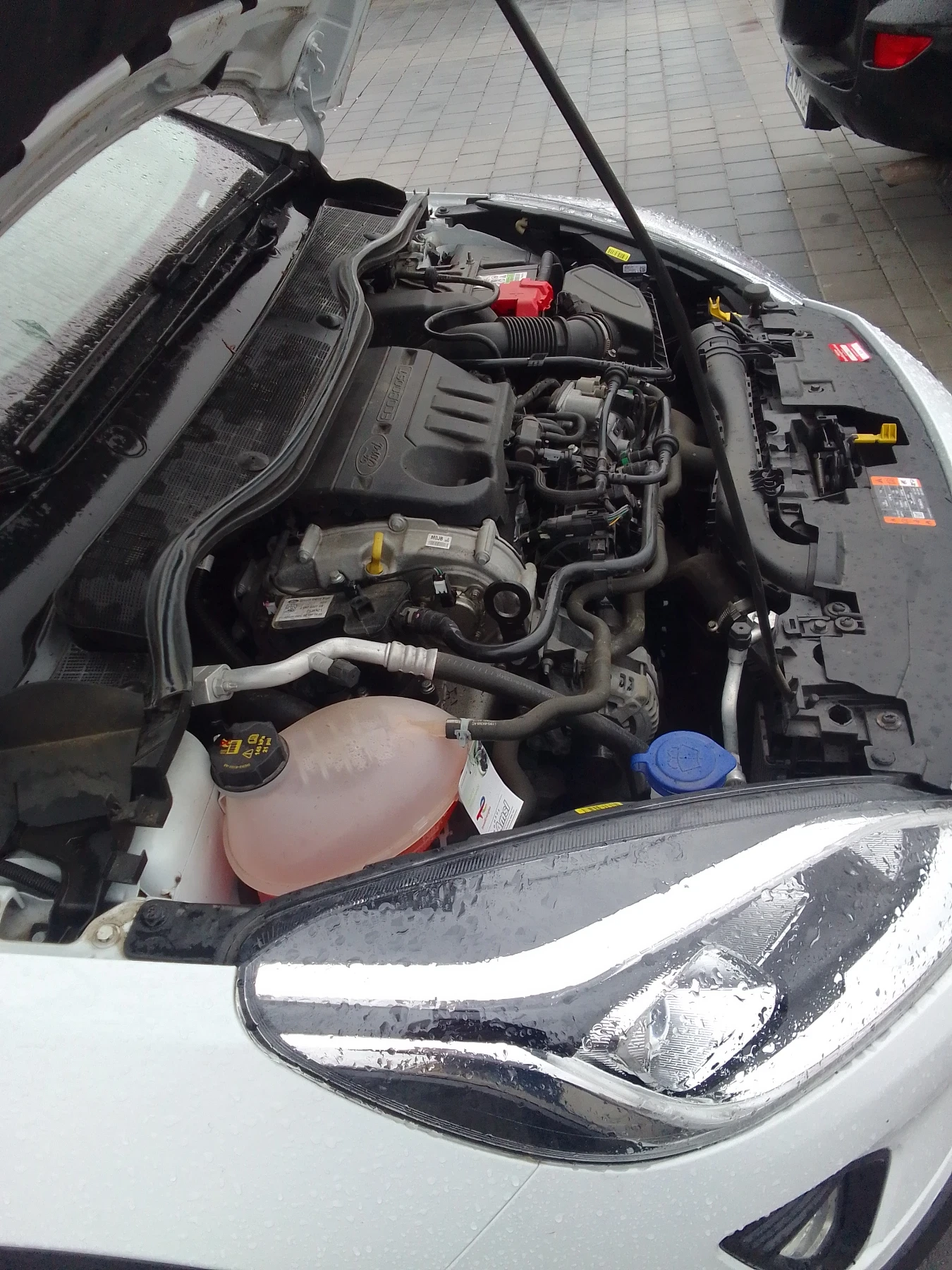 Ford Fiesta EcoBoost Active 25000 km, снимка 10 - Автомобили и джипове - 54336894