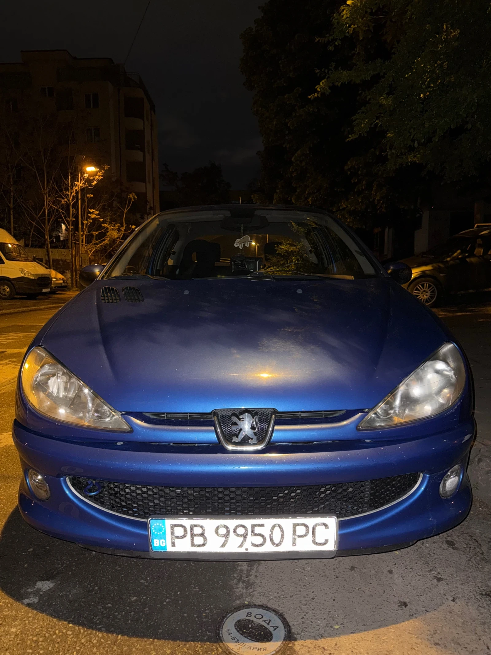 Peugeot 206, снимка 5 - Автомобили и джипове - 54834728