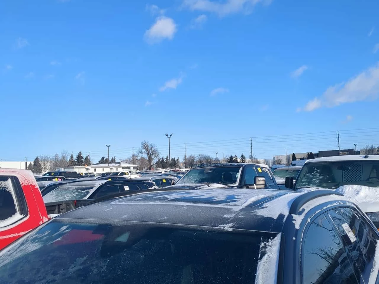 Audi Q8 TECHNIK  CARFAX | Mobile.bg � ����������� 17