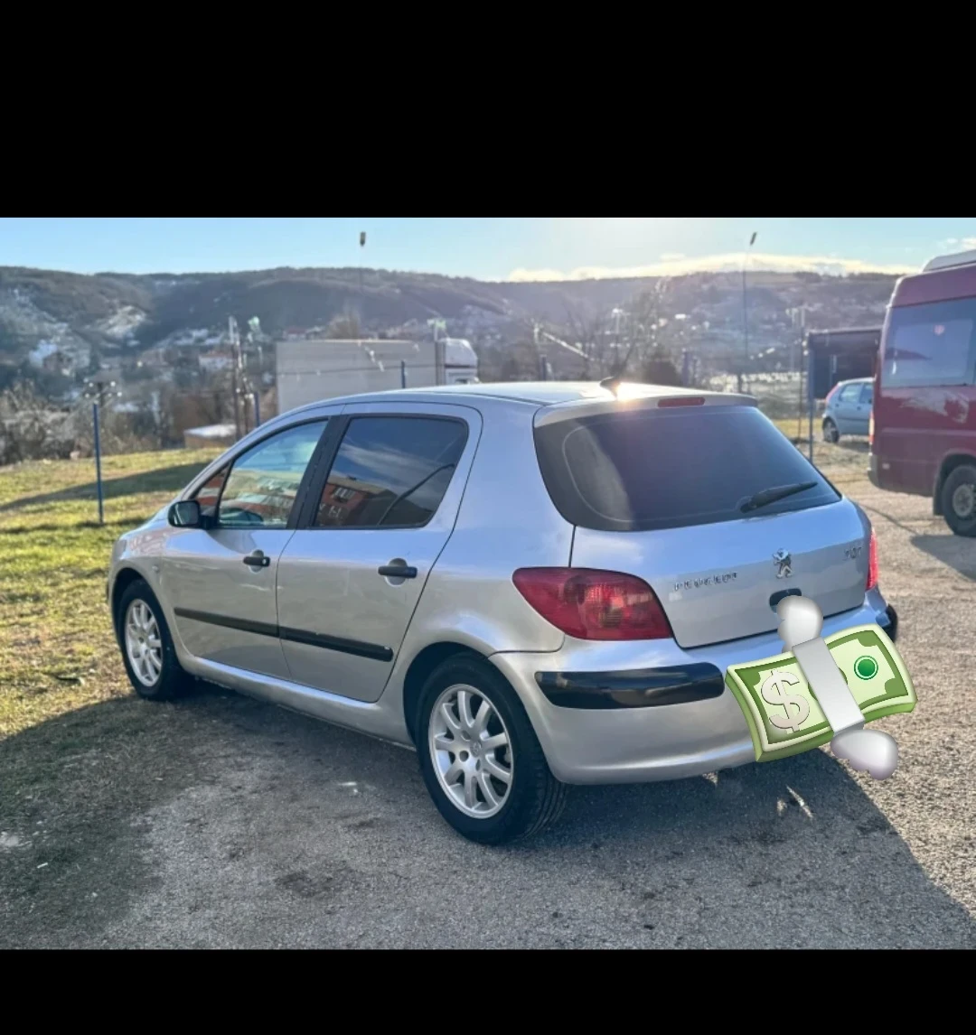 Peugeot 307 ЕКО 3 - изображение 6