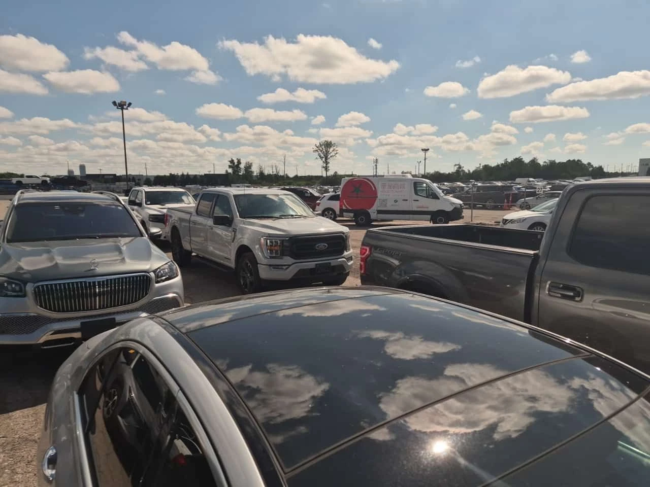 Mercedes-Benz E 300 * CARFAX * ���������� ��� ������������ ������ | Mobile.bg � ����������� 5