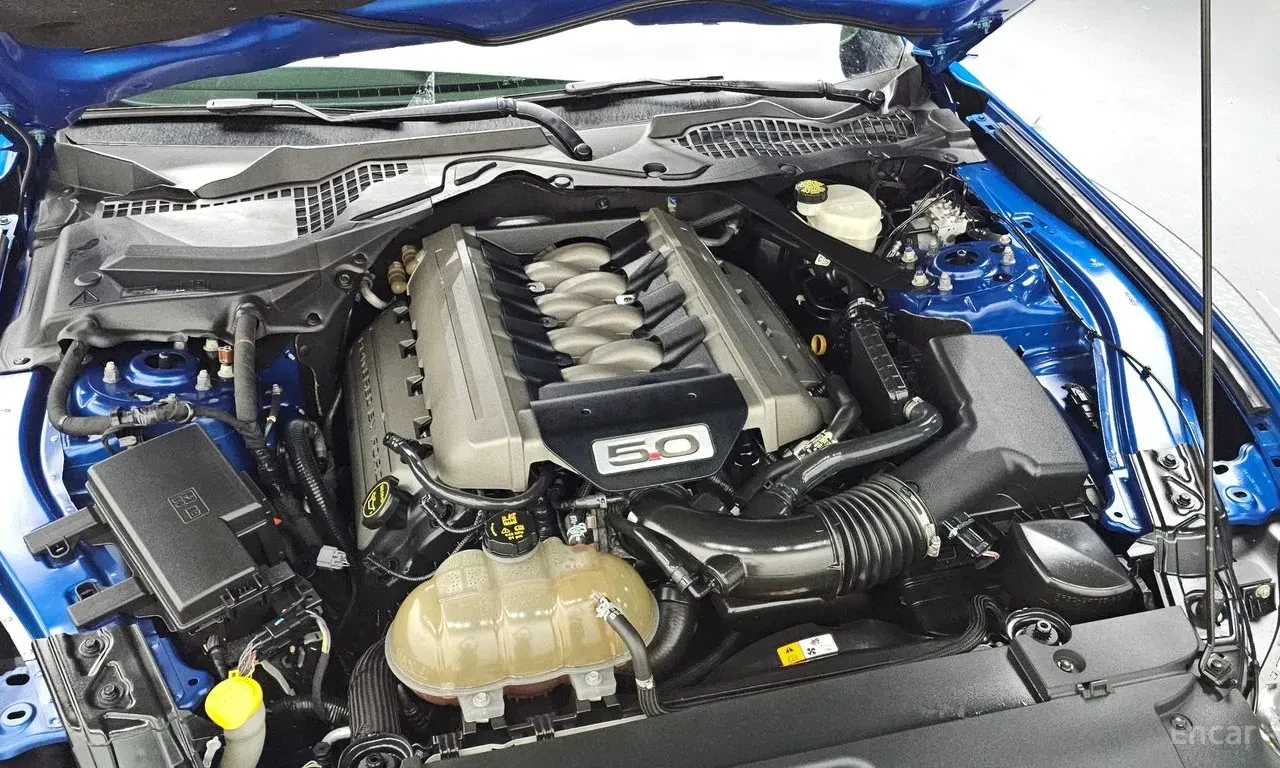 Ford Mustang 5.0* GT* ОБДУХВАНЕ* ДИСТРОНИК* КАМЕРА* КЕЙЛЕС* , снимка 16 - Автомобили и джипове - 55964025