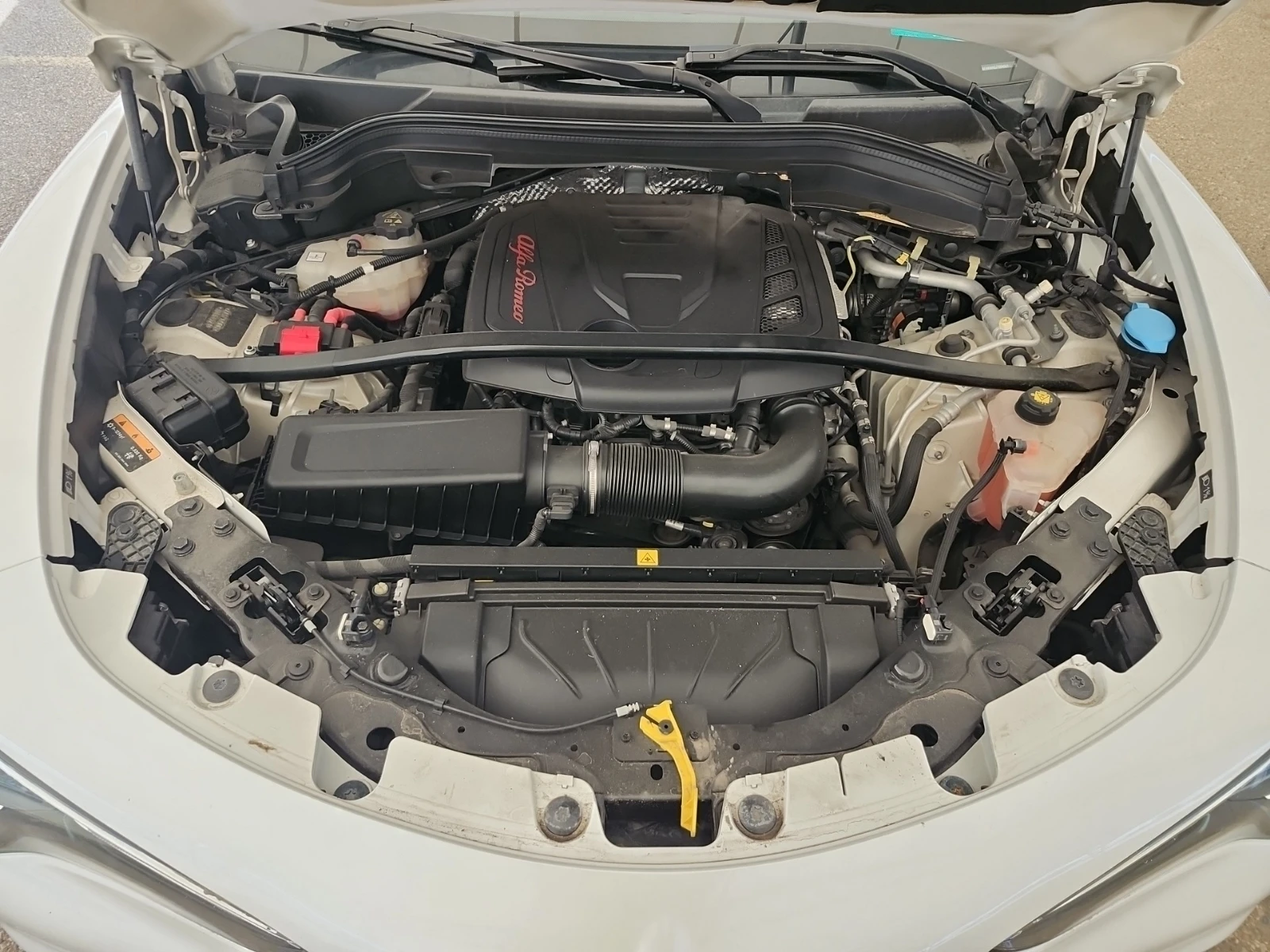 Alfa Romeo Stelvio, снимка 15 - Автомобили и джипове - 55151951