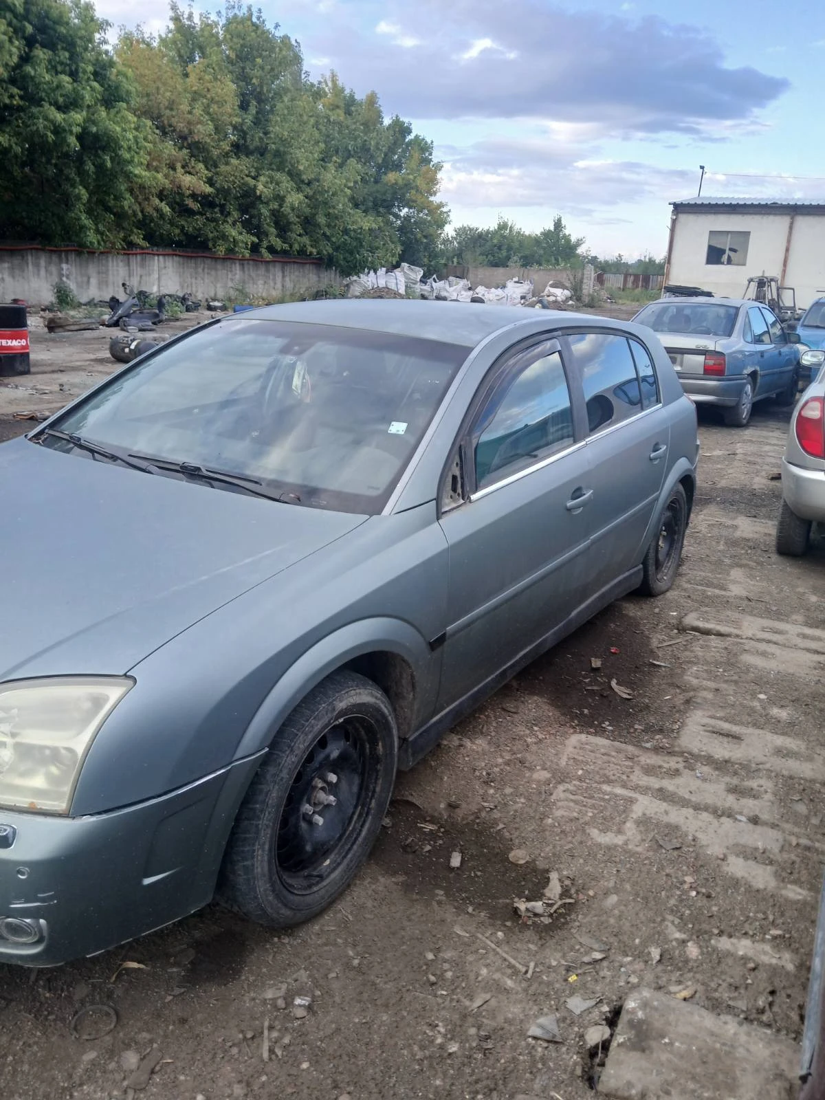 Opel Signum  - изображение 4