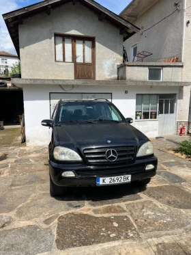 Mercedes-Benz ML 270, снимка 1