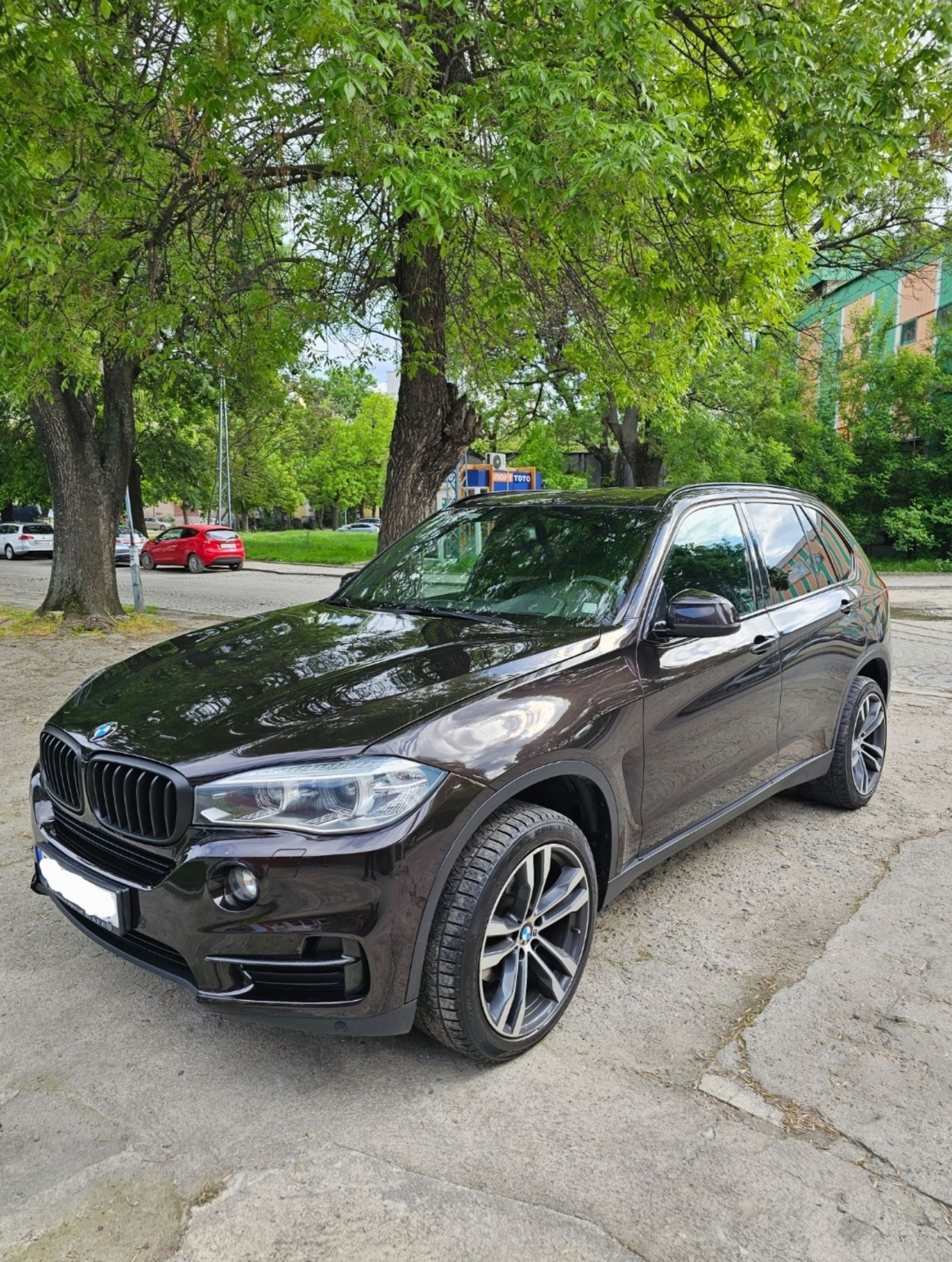 BMW X5 3.0 дизел 258 к.с. - изображение 1