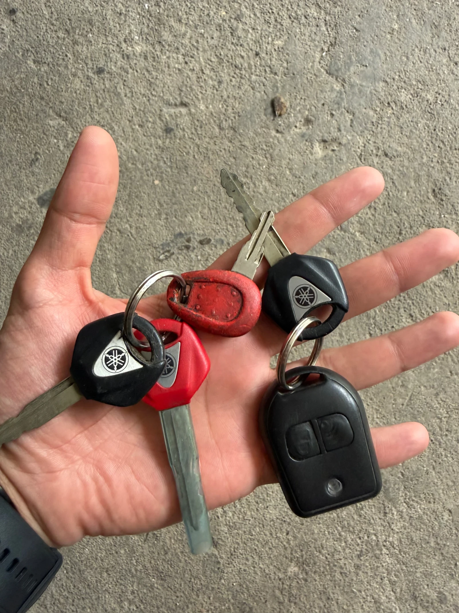 Yamaha Majesty, снимка 6 - Мотоциклети и мототехника - 54252787