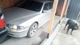 BMW 525 Тдс 143 к.с., снимка 1