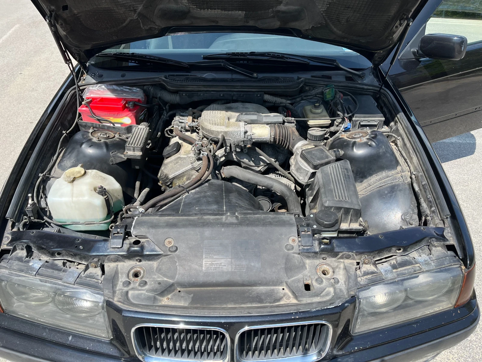 BMW 318 318 - изображение 10