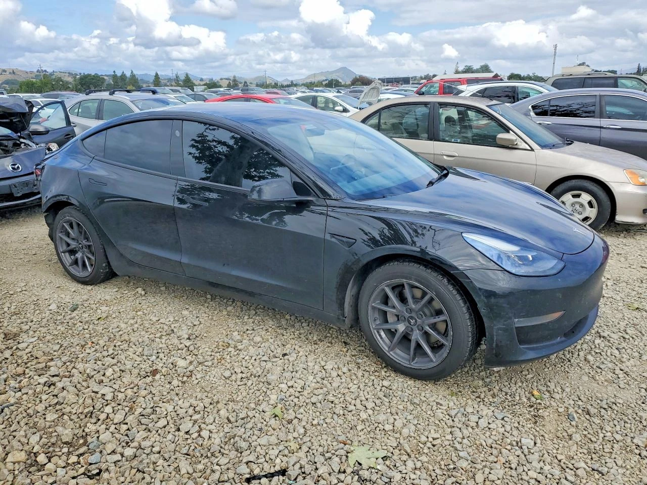 Tesla Model 3, снимка 4 - Автомобили и джипове - 54664107