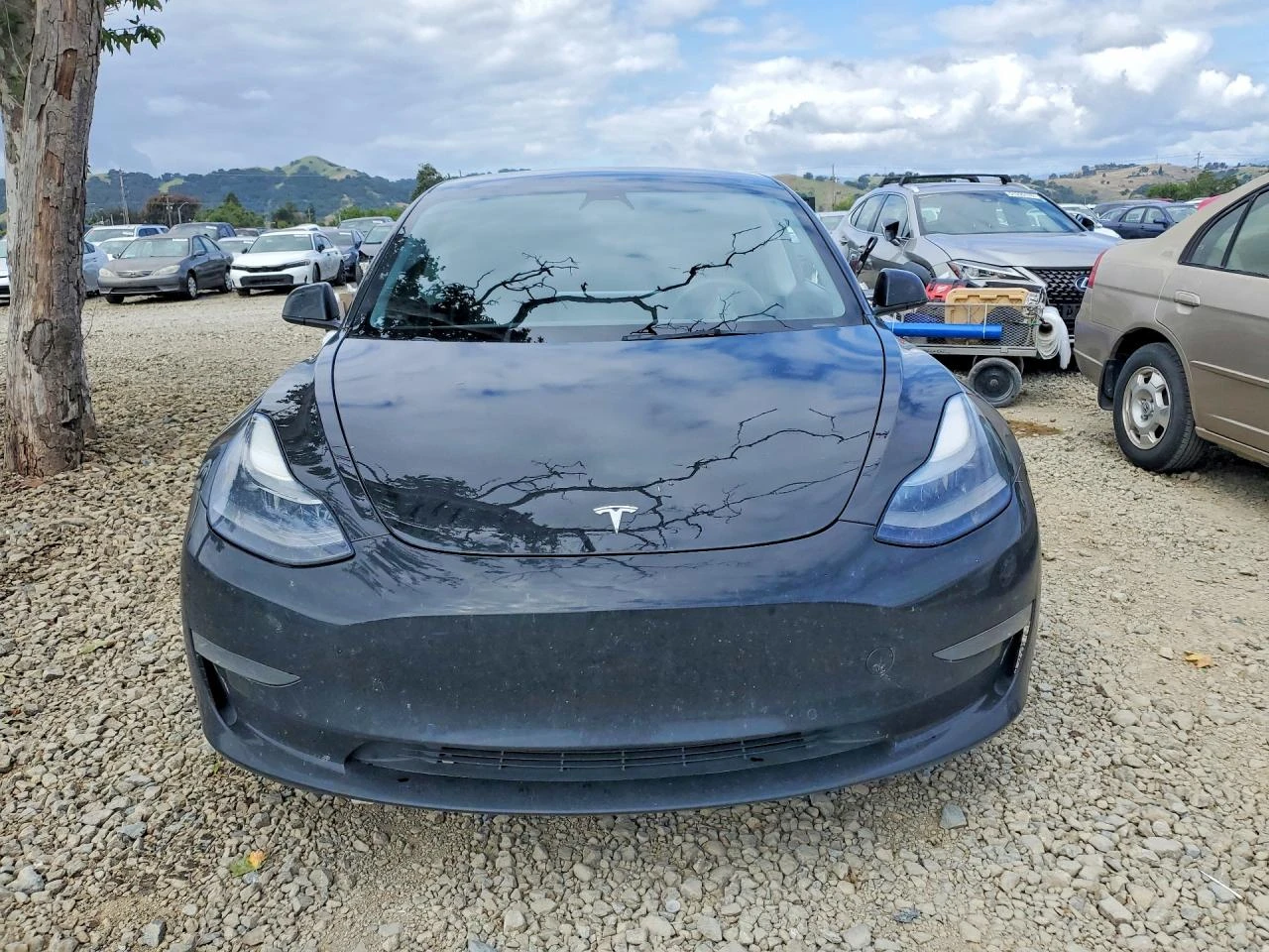 Tesla Model 3, снимка 5 - Автомобили и джипове - 54664107