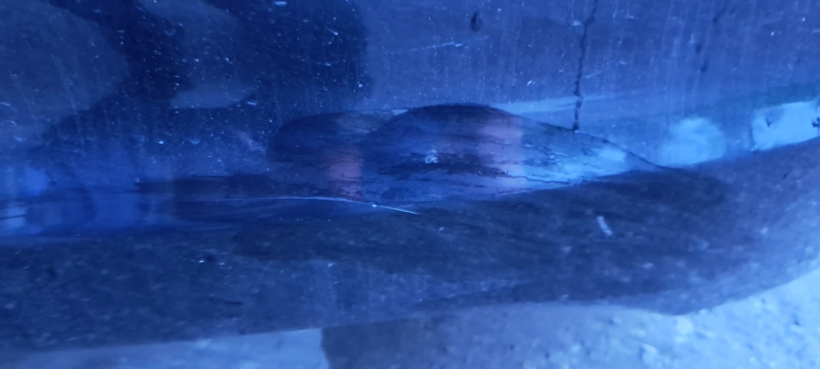 Hyundai I30, снимка 17 - Автомобили и джипове - 54362344