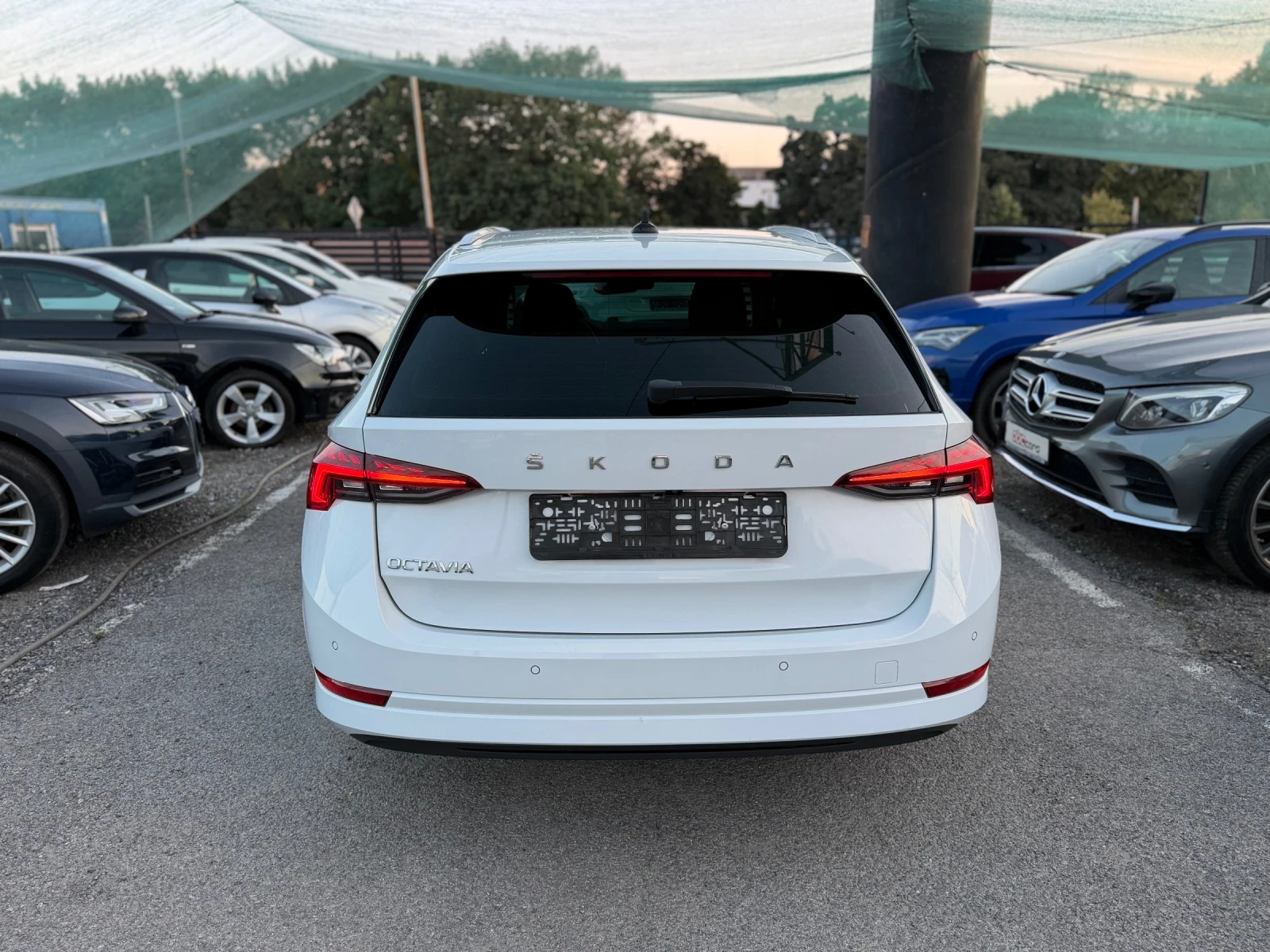 Skoda Octavia 2.0TDI DSG N1, снимка 3 - Автомобили и джипове - 55743190
