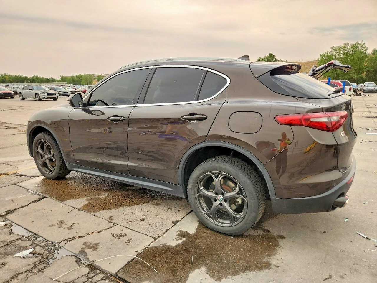 Alfa Romeo Stelvio 2.0l, снимка 2 - Автомобили и джипове - 55591537