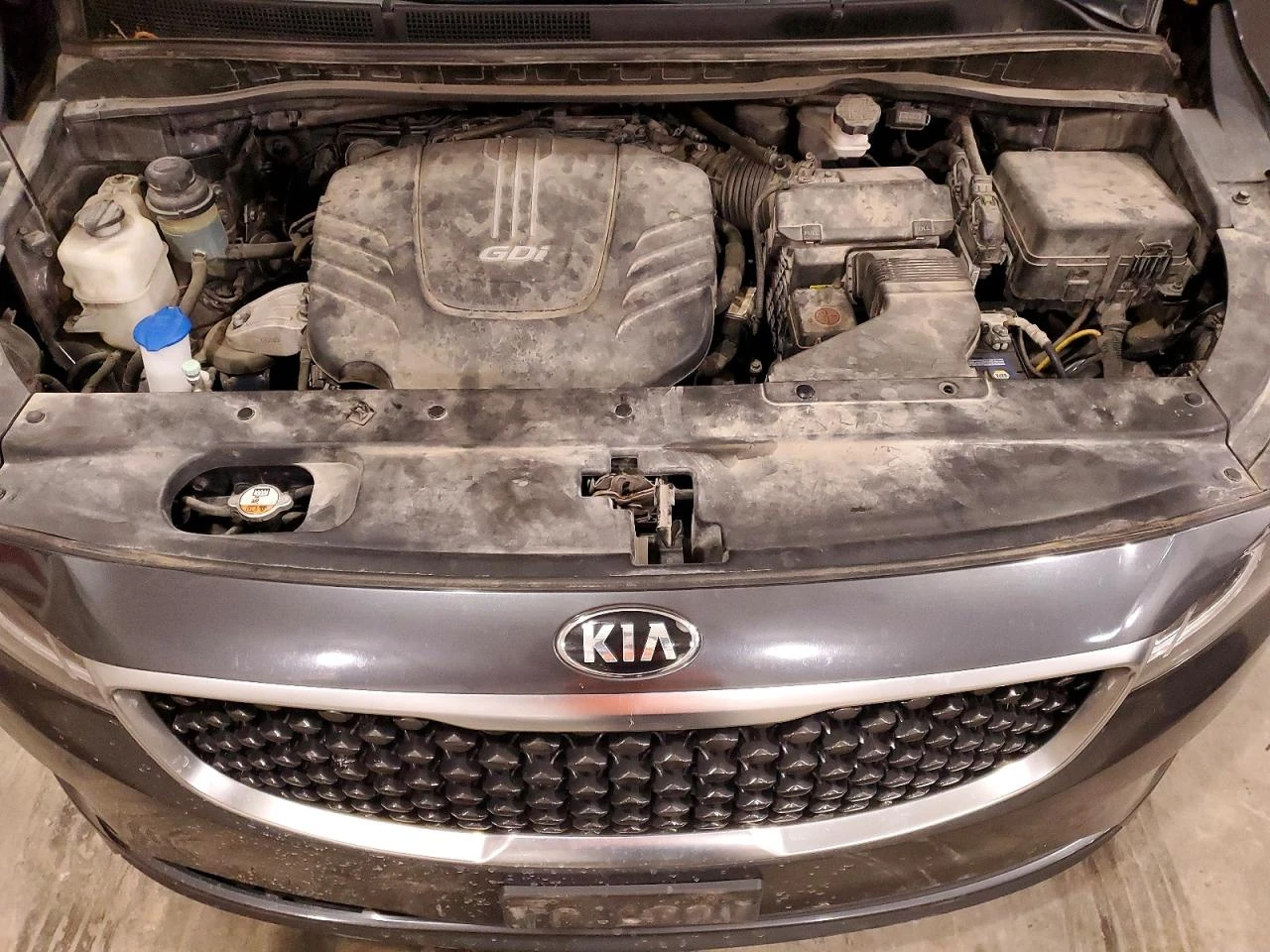 Kia Sedona | Mobile.bg � ����������� 12