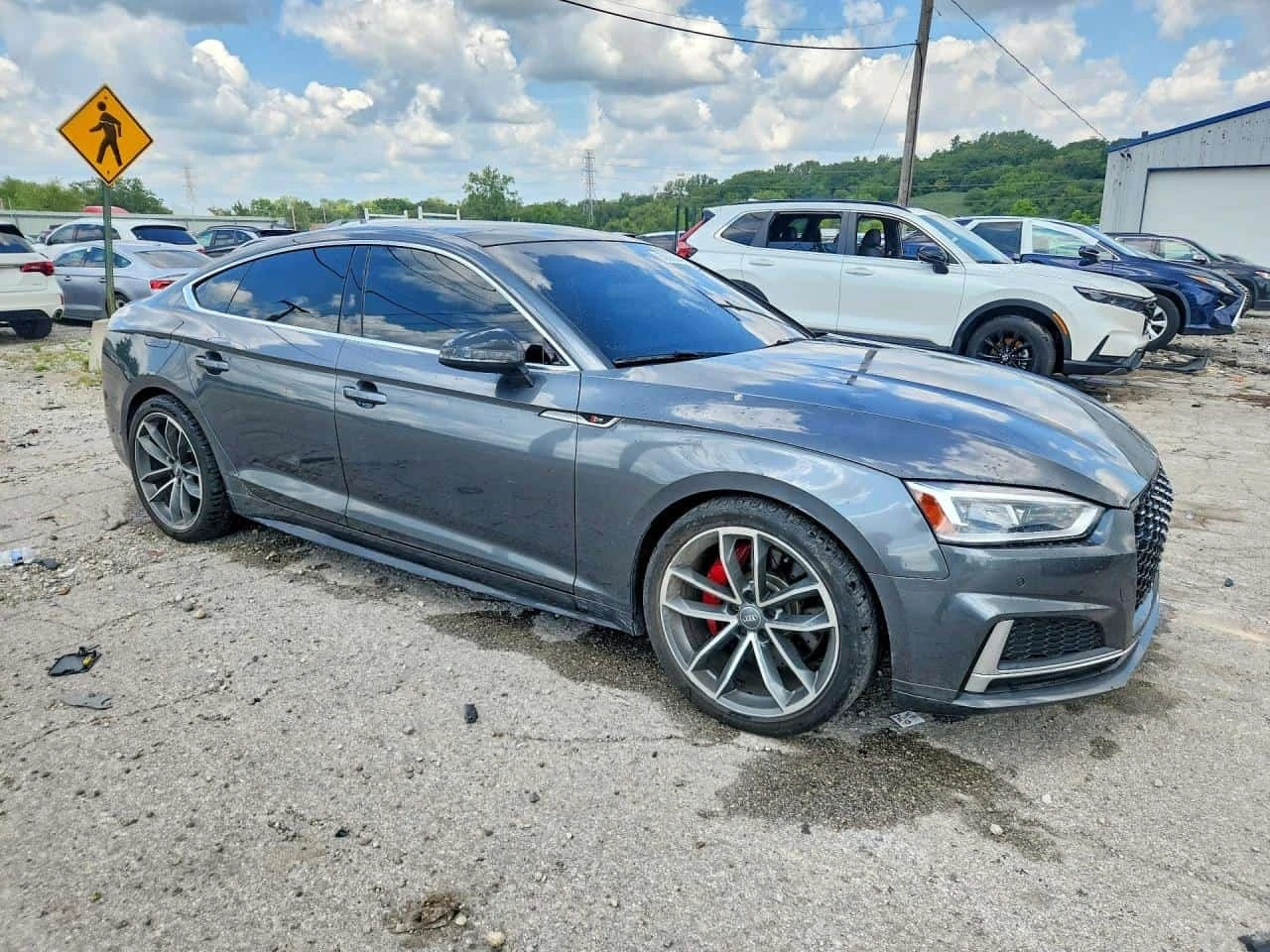 Audi S5 / Premium Plus / B&O / ������ / ���� �� ��  | Mobile.bg � ����������� 4