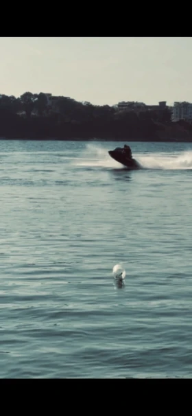 ���� Bombardier Sea Doo RXP | Mobile.bg � ����� ������ 12