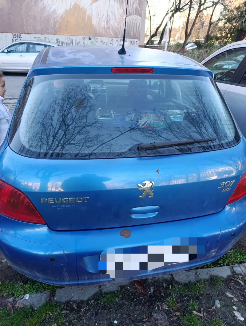 Peugeot 307, снимка 3 - Автомобили и джипове - 52919435