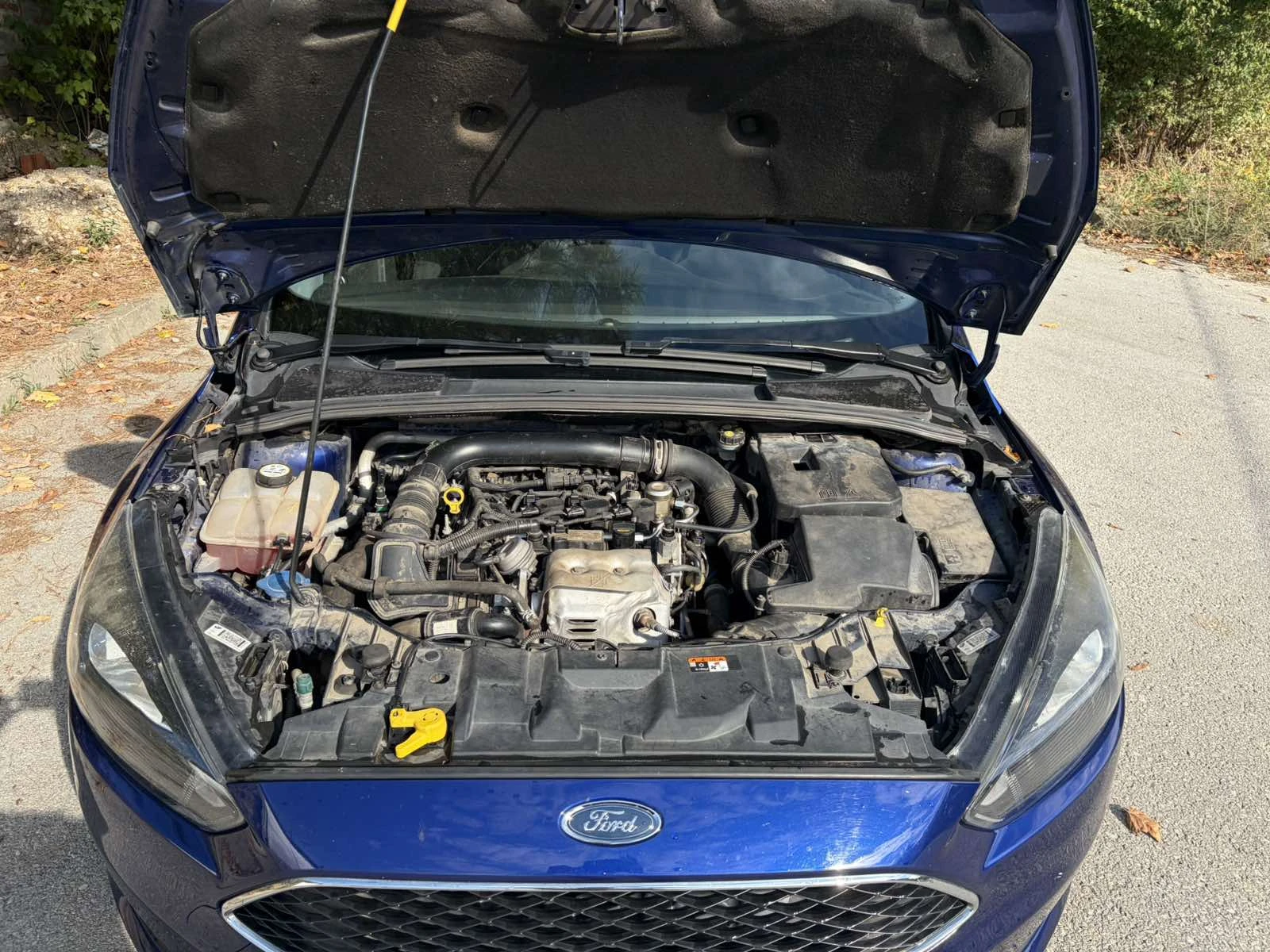 Ford Focus 1.0 EcoBoost 125 �.�. | Mobile.bg � ����������� 9