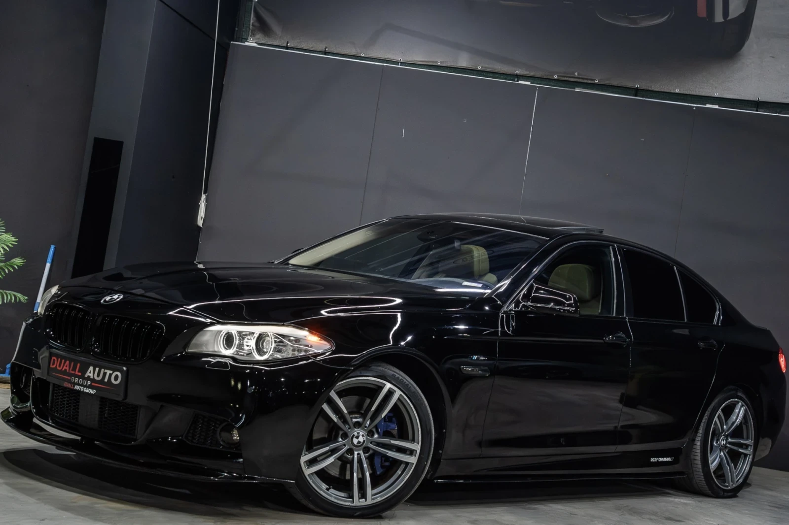 BMW 530 M-PERFORMANCE/DISTRONIK/SUNROOF/ОБДУХВАНЕ/START-ST