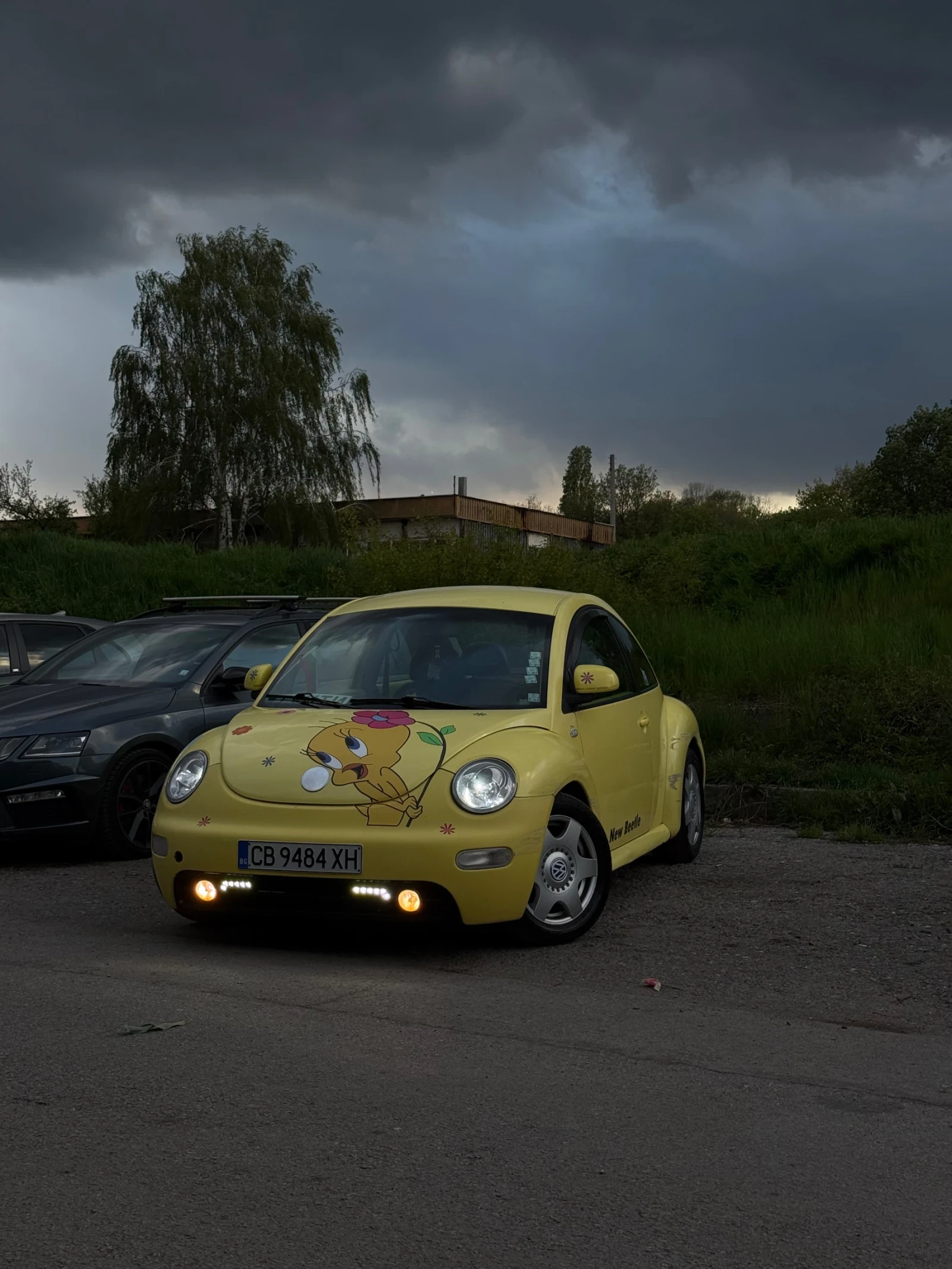 VW Beetle, снимка 7 - Автомобили и джипове - 56073684