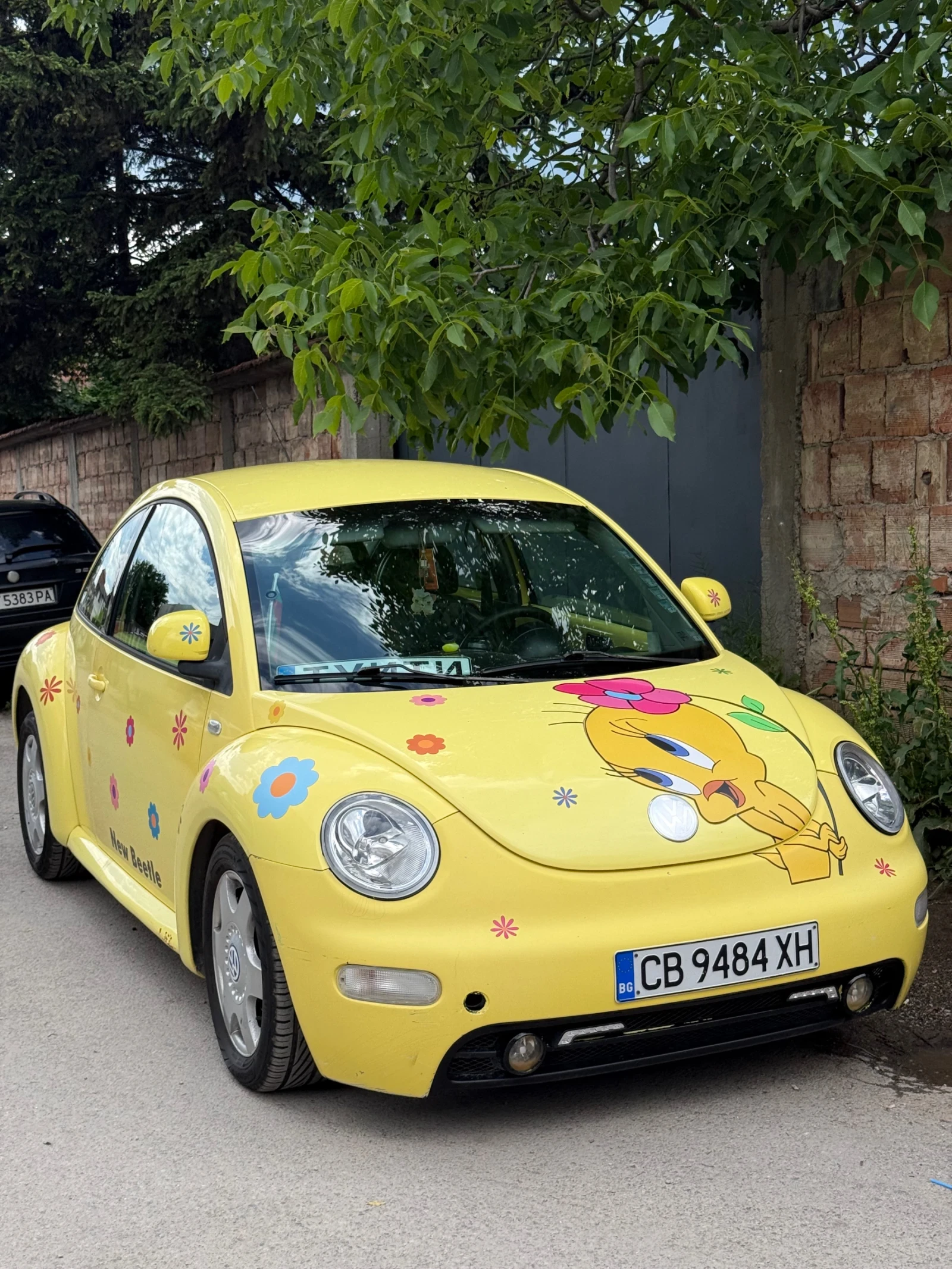 VW Beetle, снимка 6 - Автомобили и джипове - 56073684