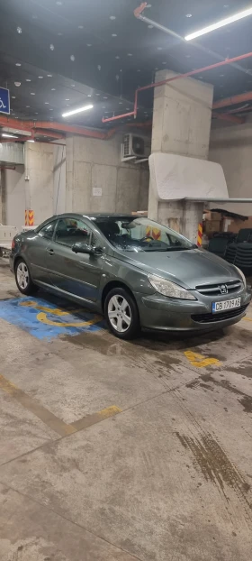     Peugeot 307