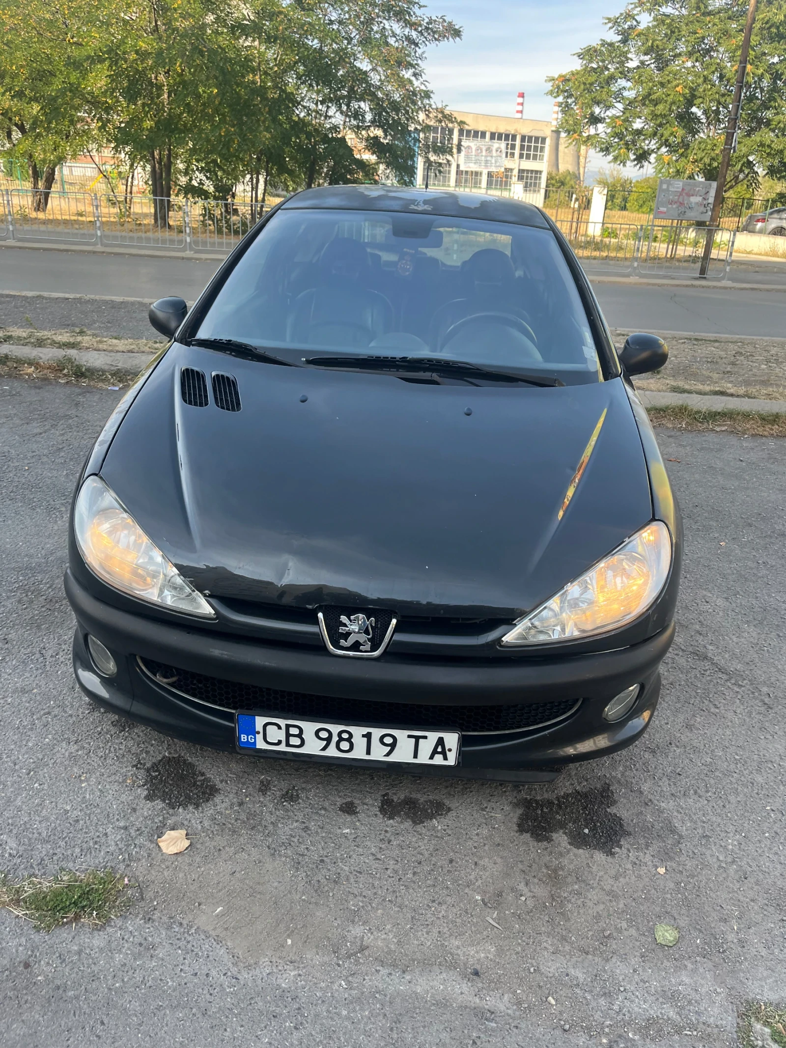 Peugeot 206 Facelift 2.0 HDI - изображение 7