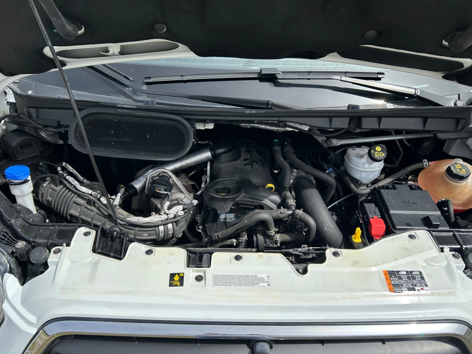 Ford Transit   euro6 2021  | Mobile.bg   16