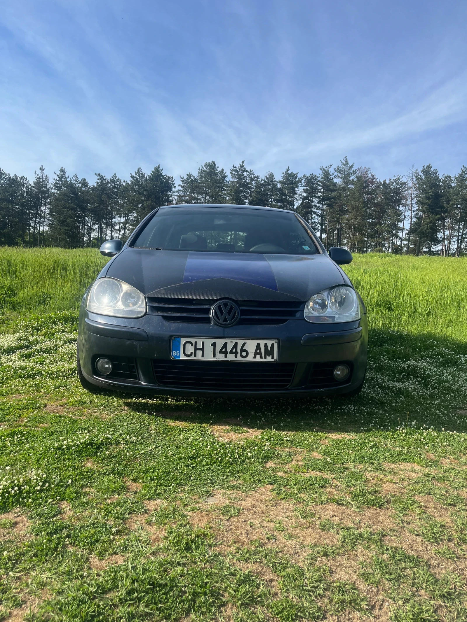 VW Golf