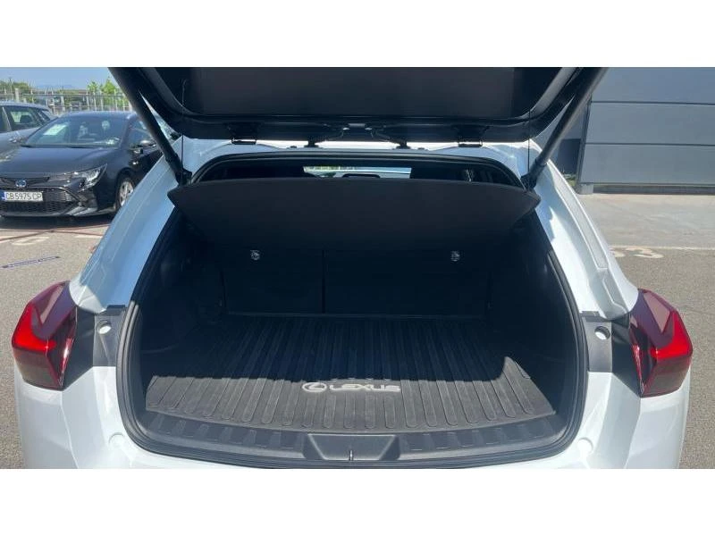 Lexus UX 250h F-Sport - изображение 10
