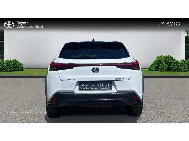 Lexus UX 250h F-Sport - изображение 4