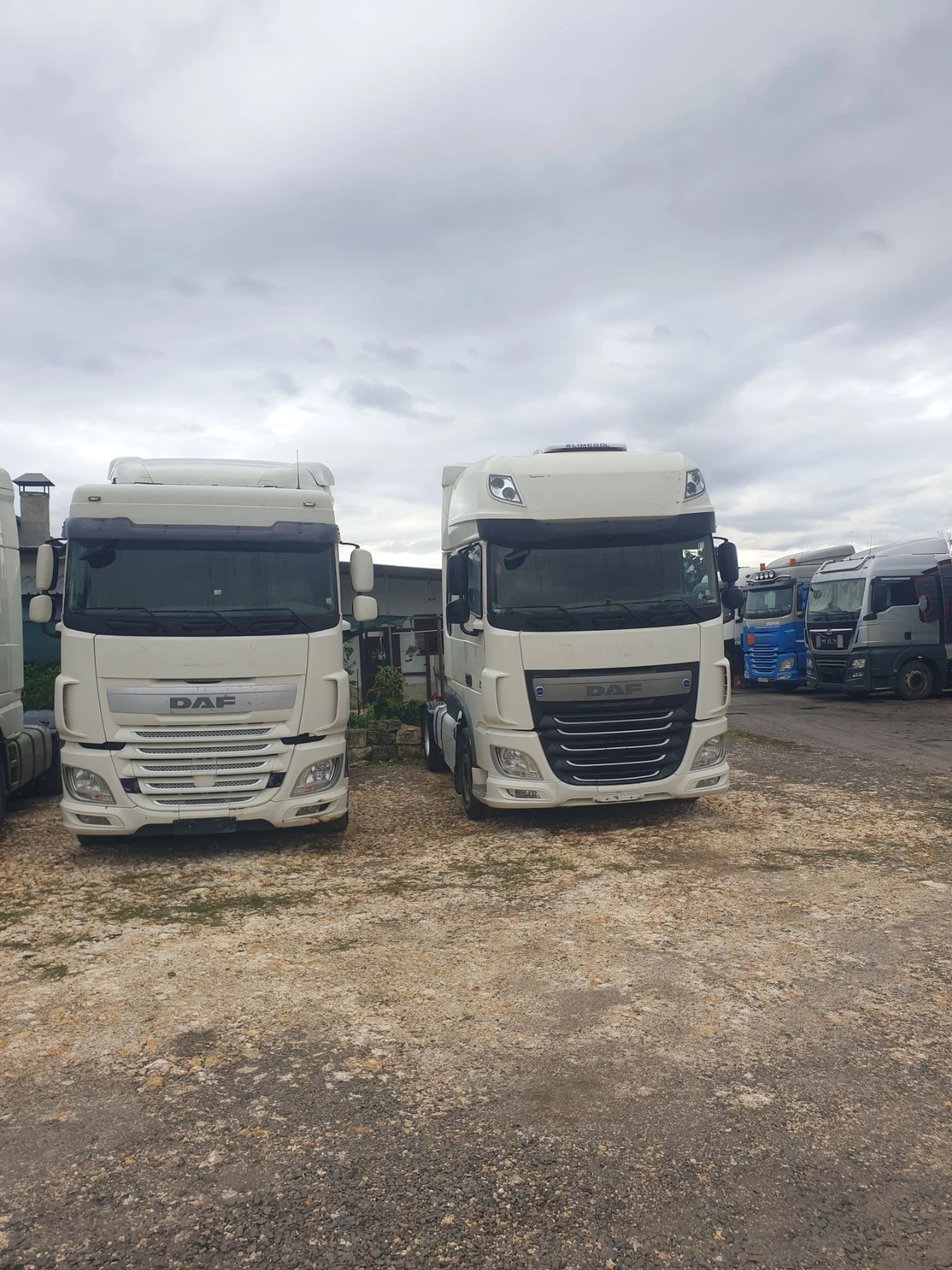Daf FT XF 106  СЕДЕМ БРОЯ, снимка 10 - Камиони - 55981533
