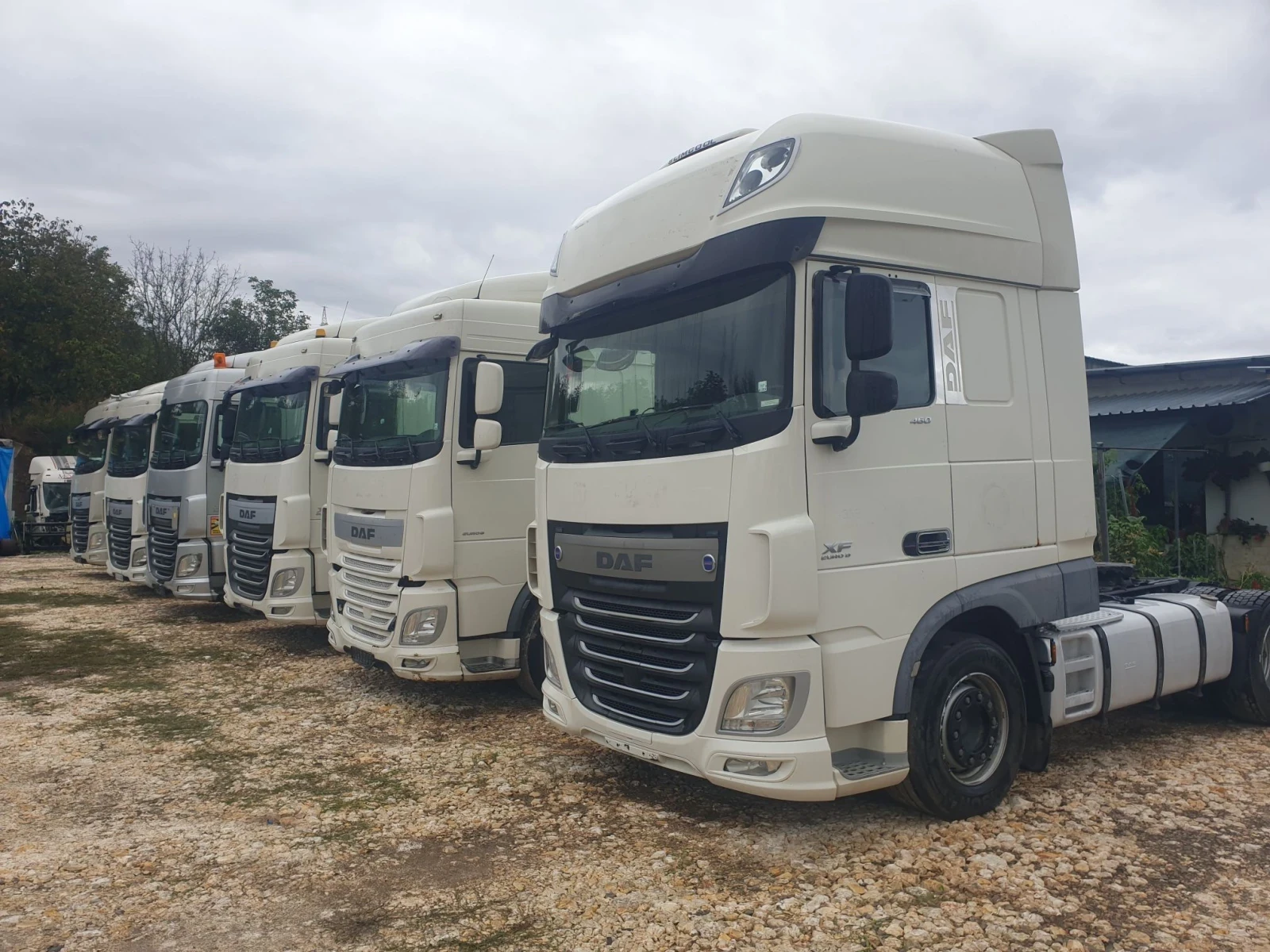 Daf FT XF 106  СЕДЕМ БРОЯ