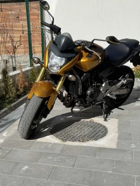  Honda Hornet