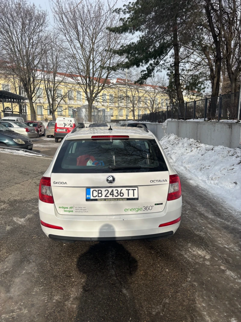 Skoda Octavia G-TEC, снимка 4 - Автомобили и джипове - 53174518
