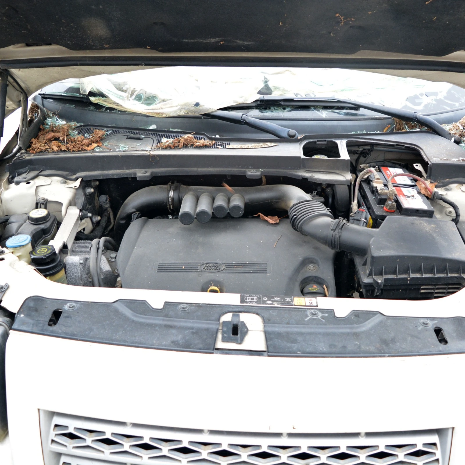 Land Rover Freelander 2.2 TD4 | Mobile.bg   15