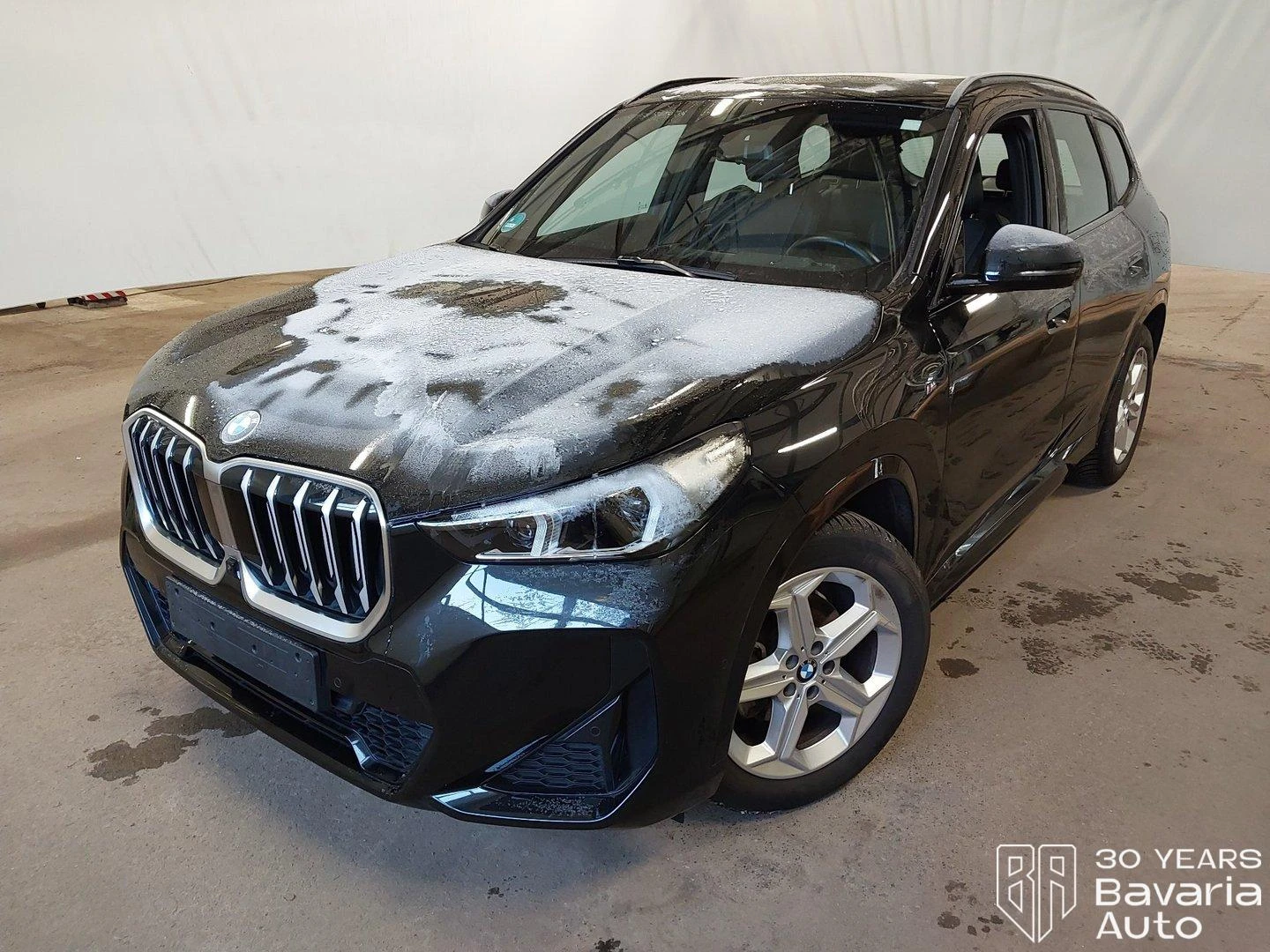 BMW X1 20d xDrive M Sport Paket Steptronic, снимка 1