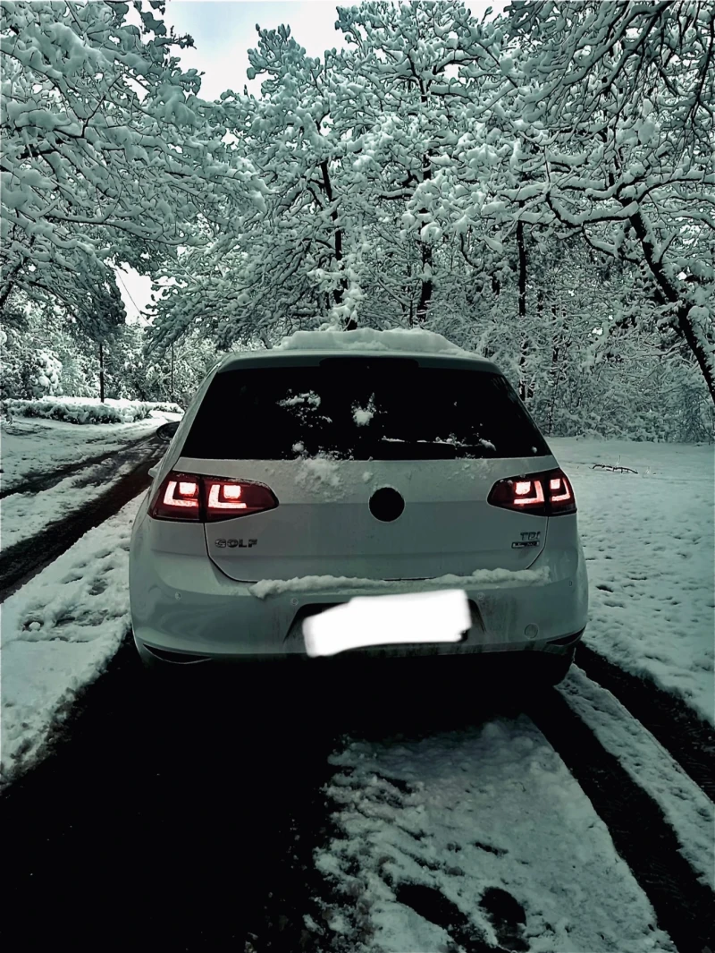VW Golf 1.6 TDI, снимка 4 - Автомобили и джипове - 51003423