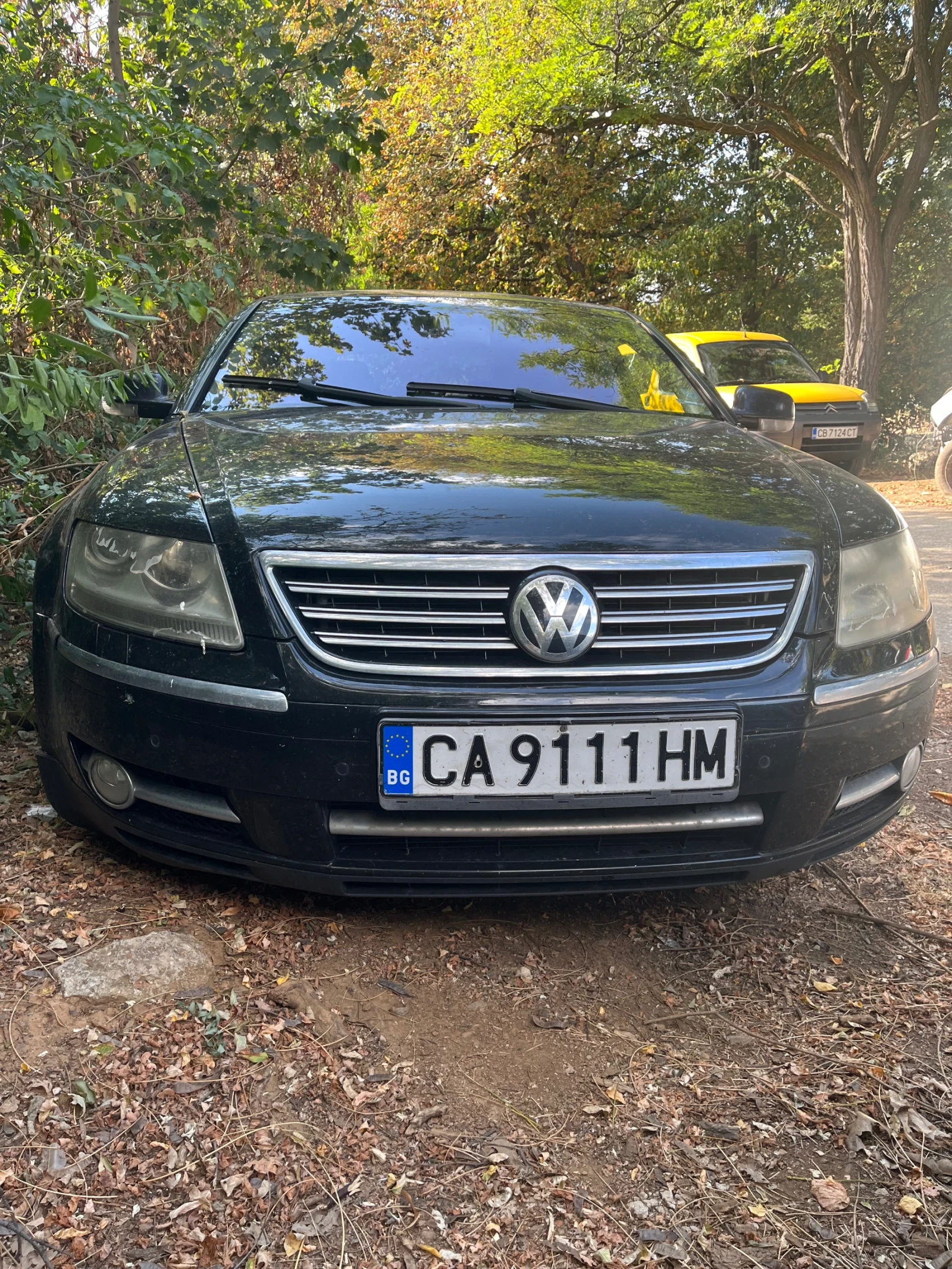 VW Phaeton  - изображение 4