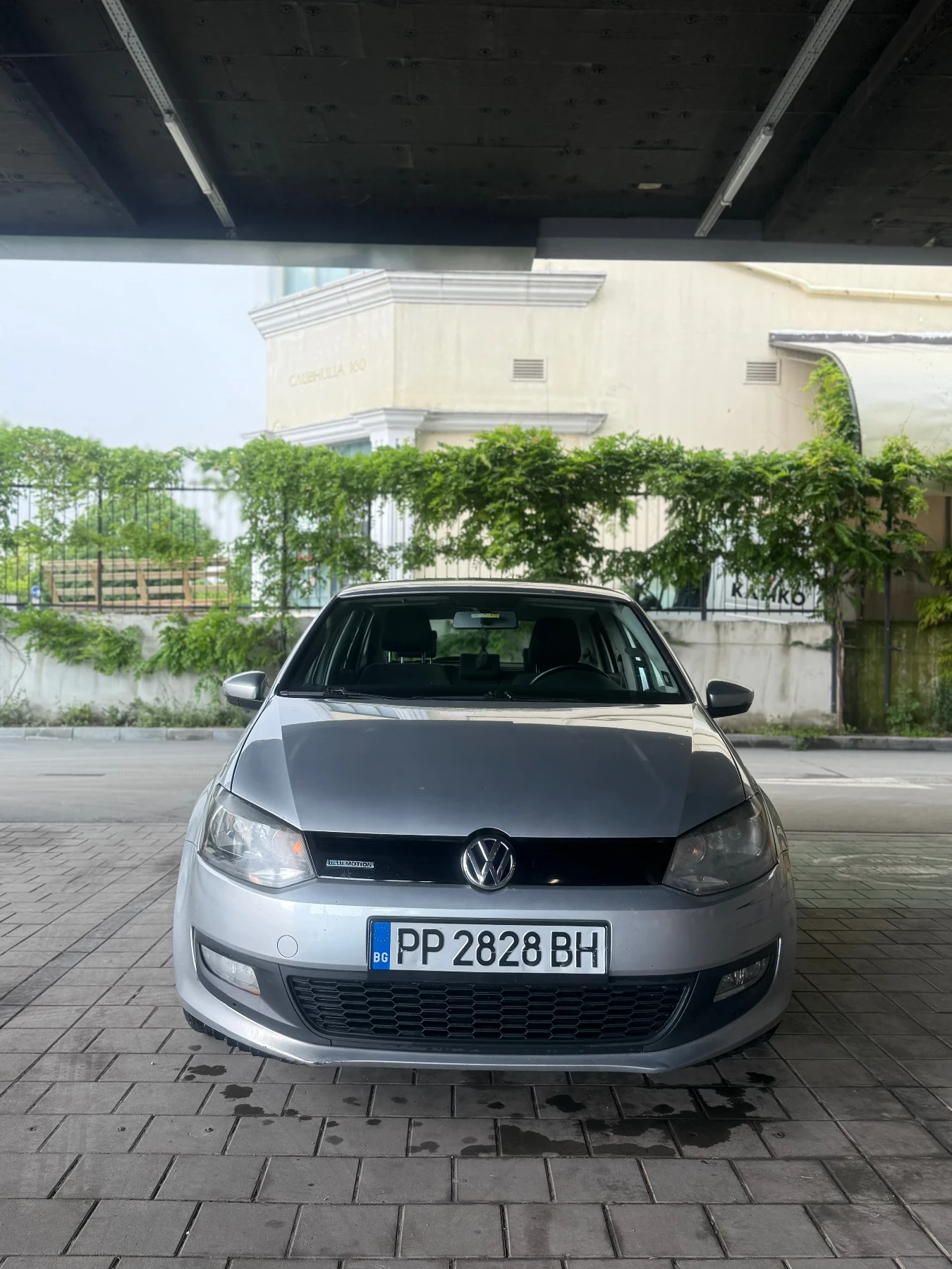 VW Polo
