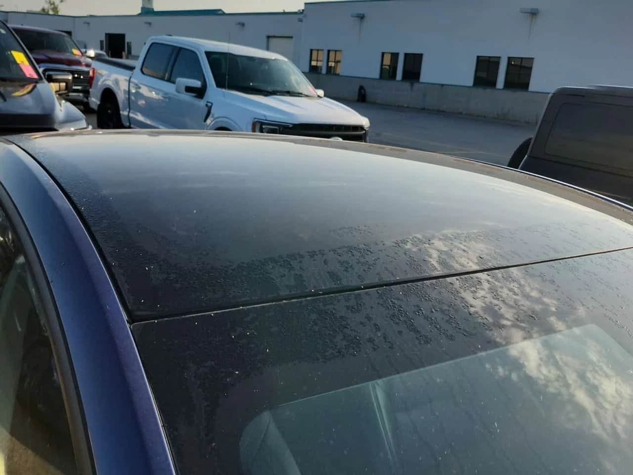 Tesla Model Y LONG RANGE| AUTOPILOT| HEATPUMP| PANO| CARFAX| , снимка 6 - Автомобили и джипове - 55583290