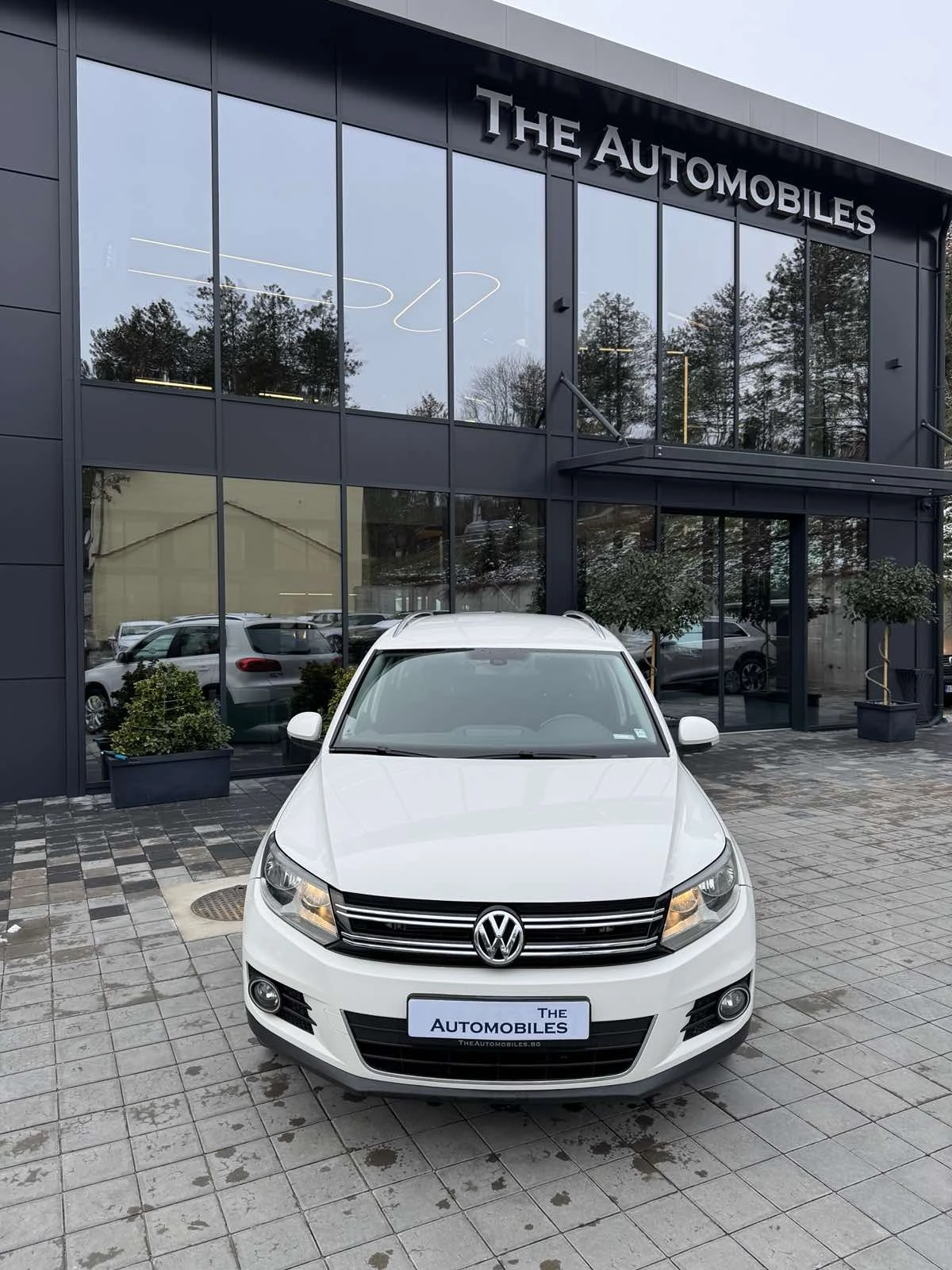 VW Tiguan - [1] 