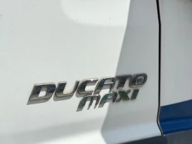 Fiat Ducato Fiat Ducato MAXI 120 multijet  | Mobile.bg    13