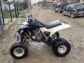 Yamaha Raptor, снимка 2