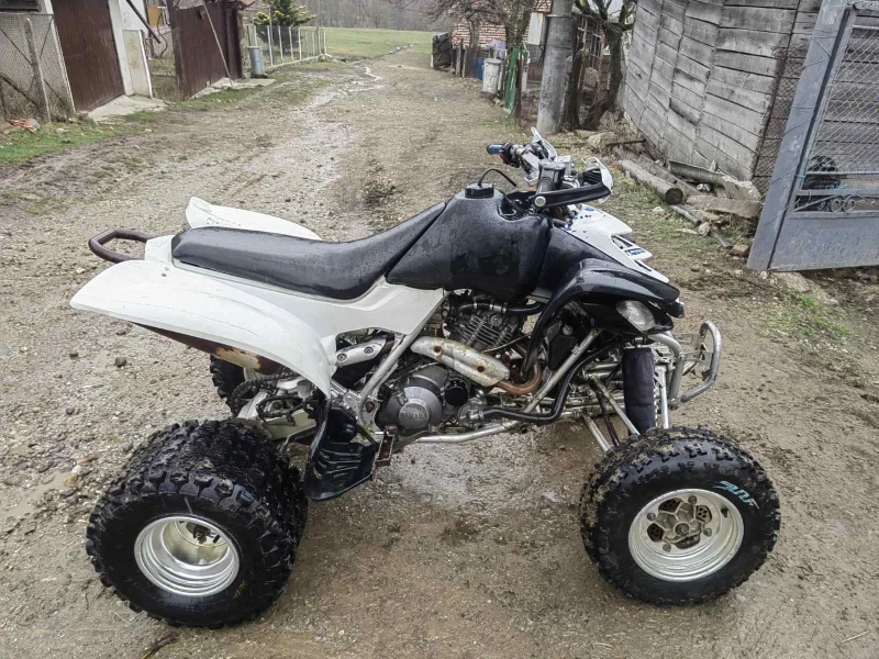 Yamaha Raptor, снимка 3 - Мотоциклети и мототехника - 52717141