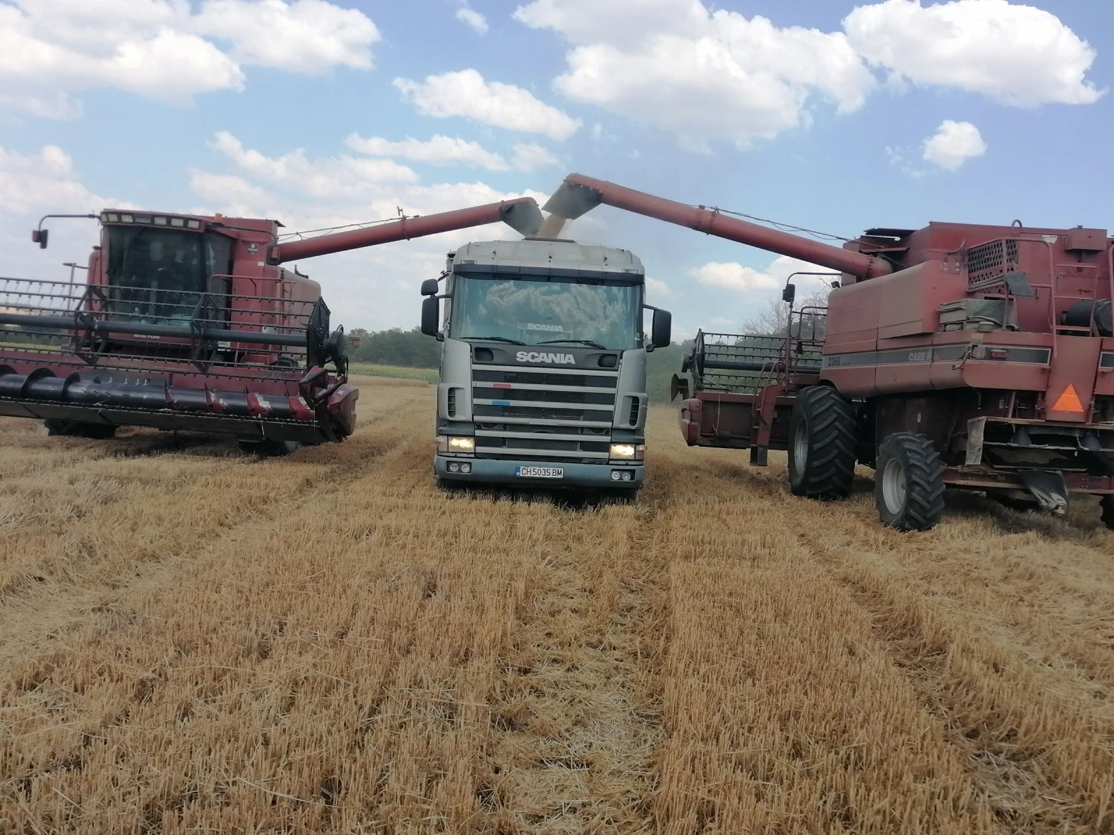 Scania 144 БАРТЕР 