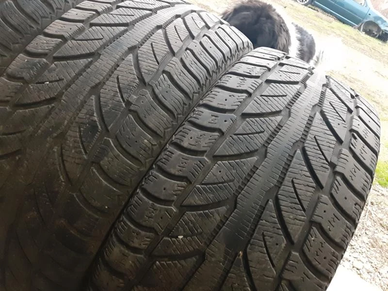 Гуми Зимни 255/50R20, снимка 2 - Гуми и джанти - 35189906