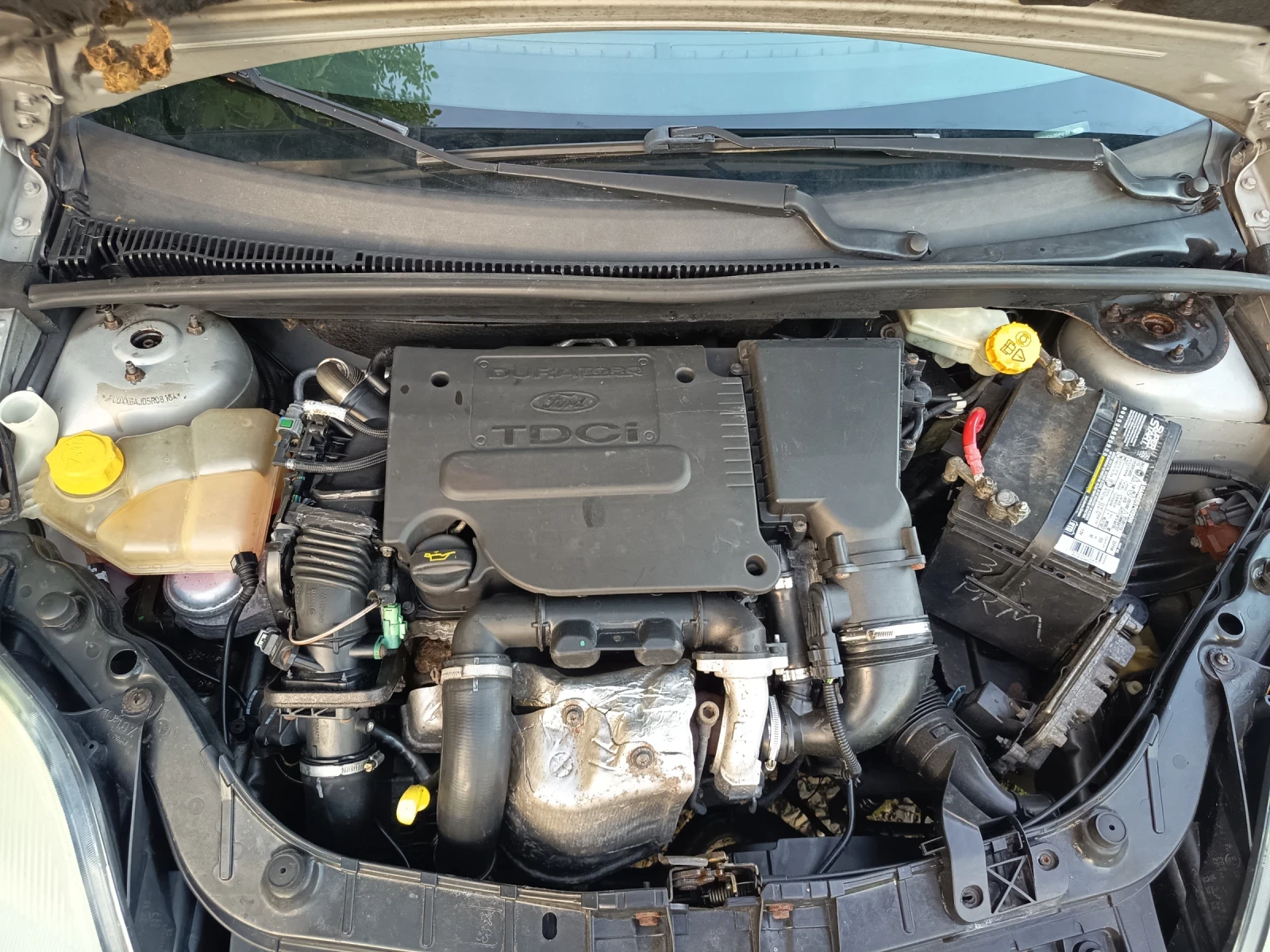 Ford Fiesta 1.6TDCI �������� | Mobile.bg � ����������� 15