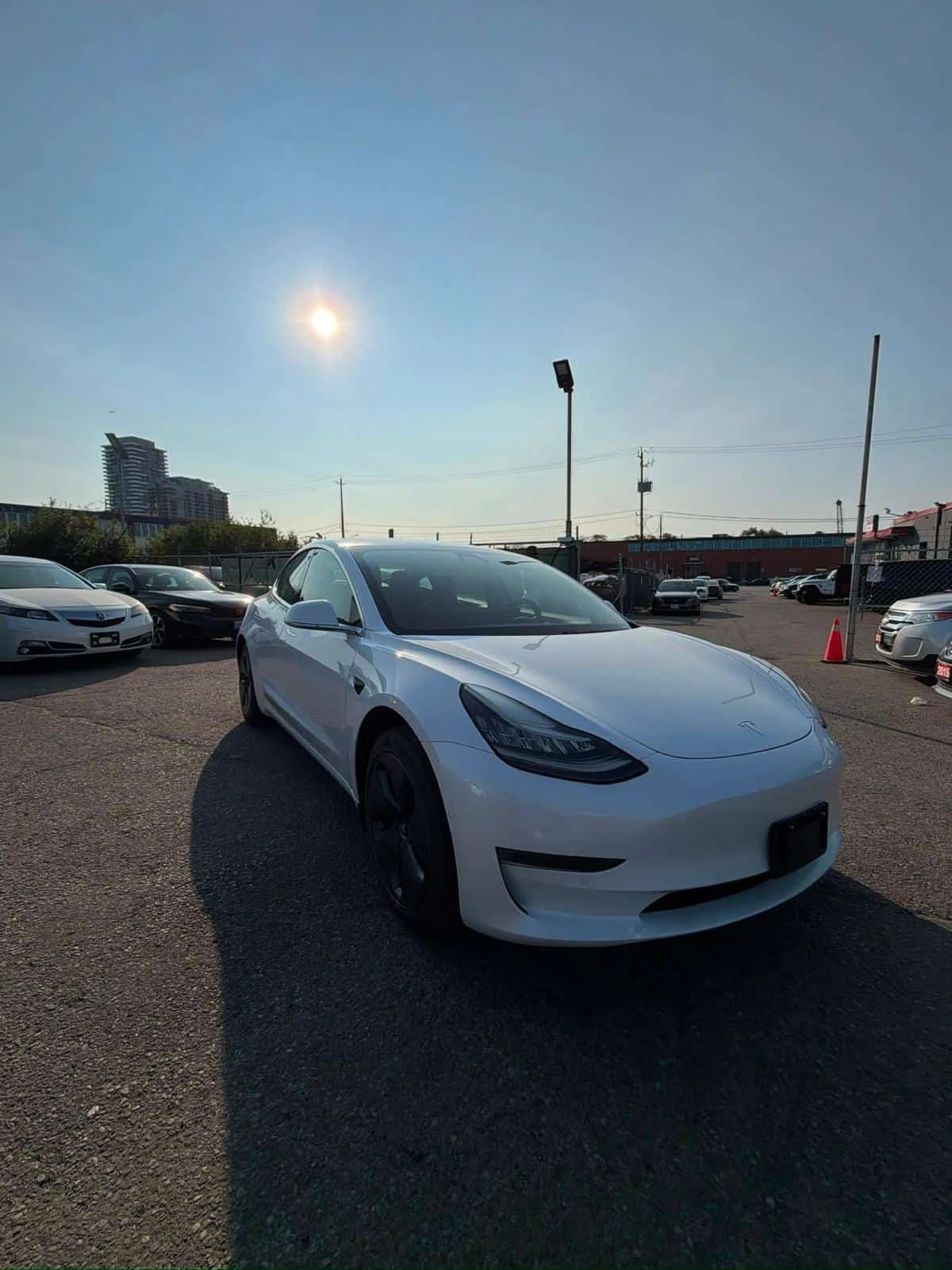 Tesla Model 3 * Standard Range Plus * ����������*  | Mobile.bg � ����������� 14